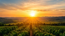 Sustainable agricultural landscape