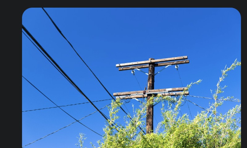Vegetation in close proximity to overhead power lines