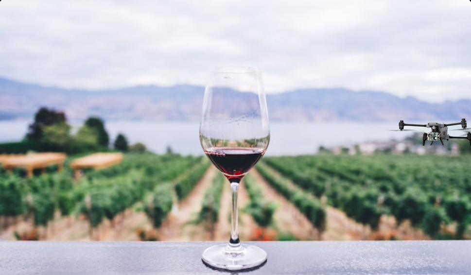 Vineyard rows from aerial view showing drone monitoring for frost and disease detection